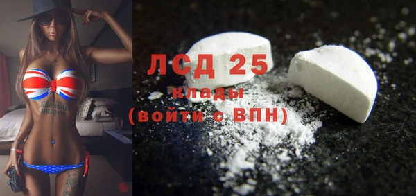 ПСИЛОЦИБИНОВЫЕ ГРИБЫ Баксан