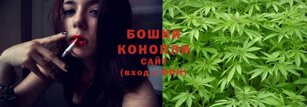 ПСИЛОЦИБИНОВЫЕ ГРИБЫ Баксан