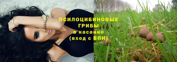 ПСИЛОЦИБИНОВЫЕ ГРИБЫ Баксан